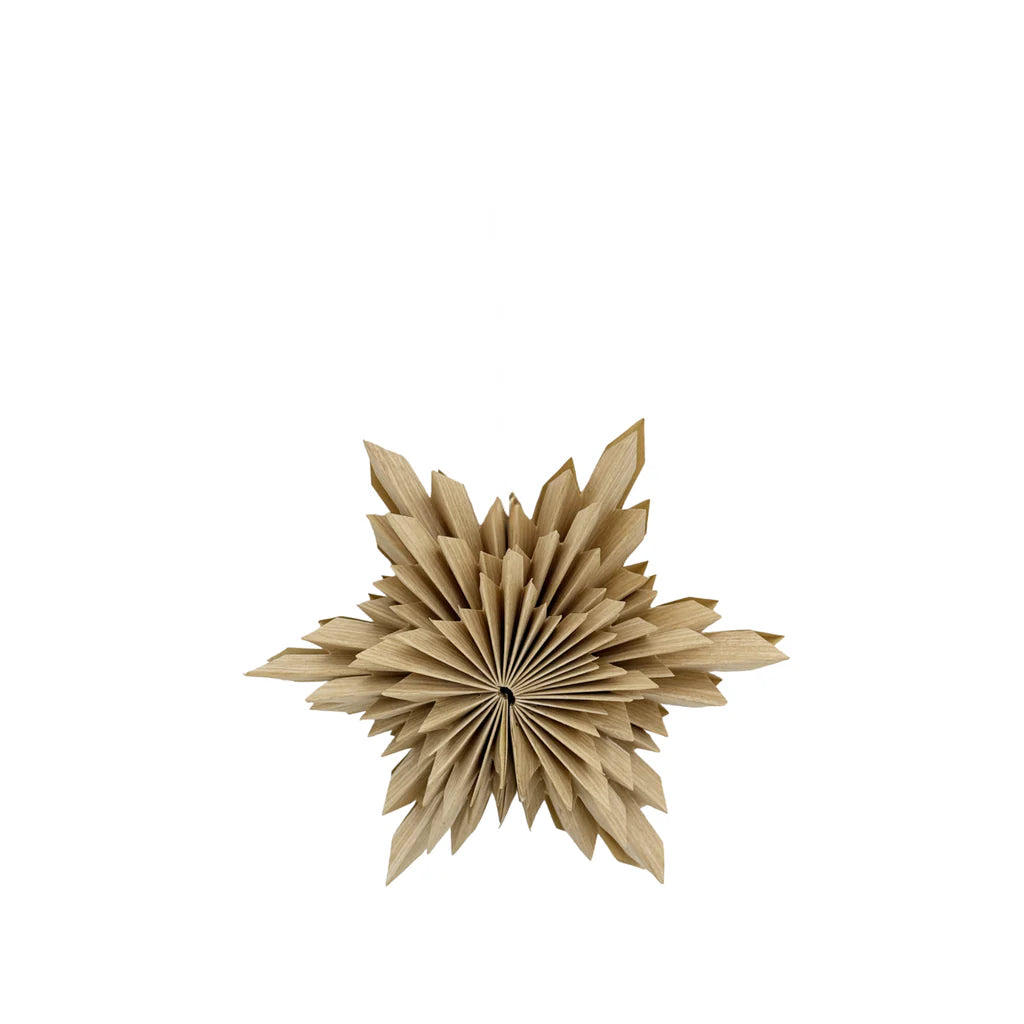 Astra Papierstern D15